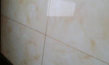 芷岸龍庭小區(qū)美縫施工效果圖